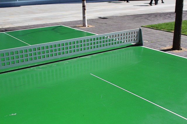 Enjoy Outdoor Ping Pong In The Park