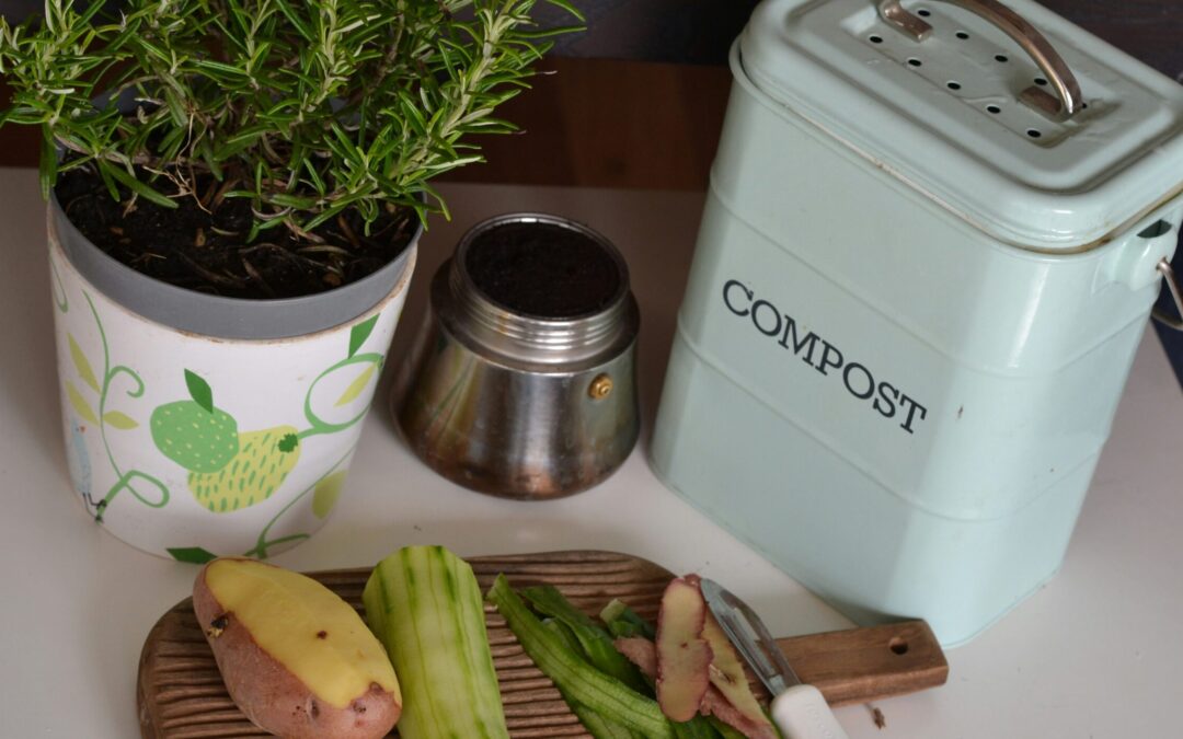 Sustainable Living Tips for Gowanus Residents